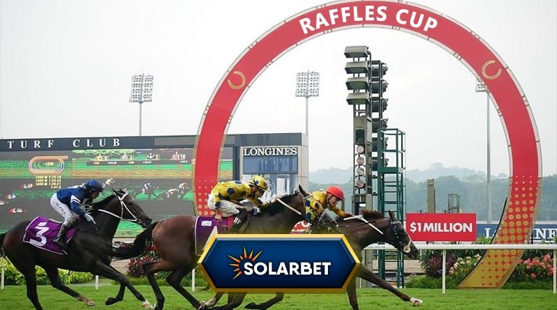 Raffles cup