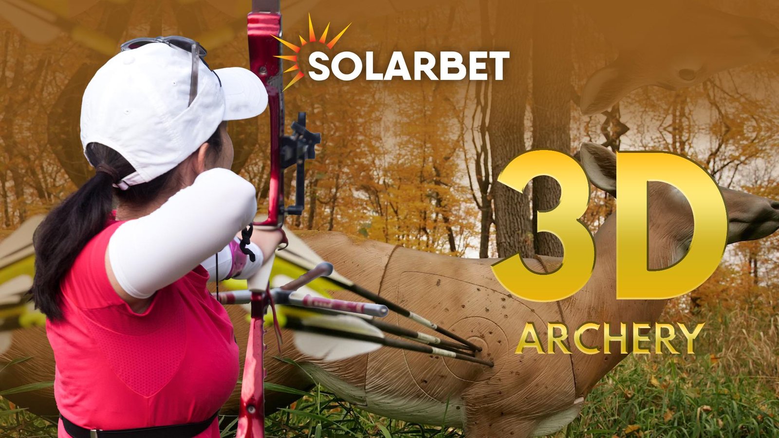 3D Archery