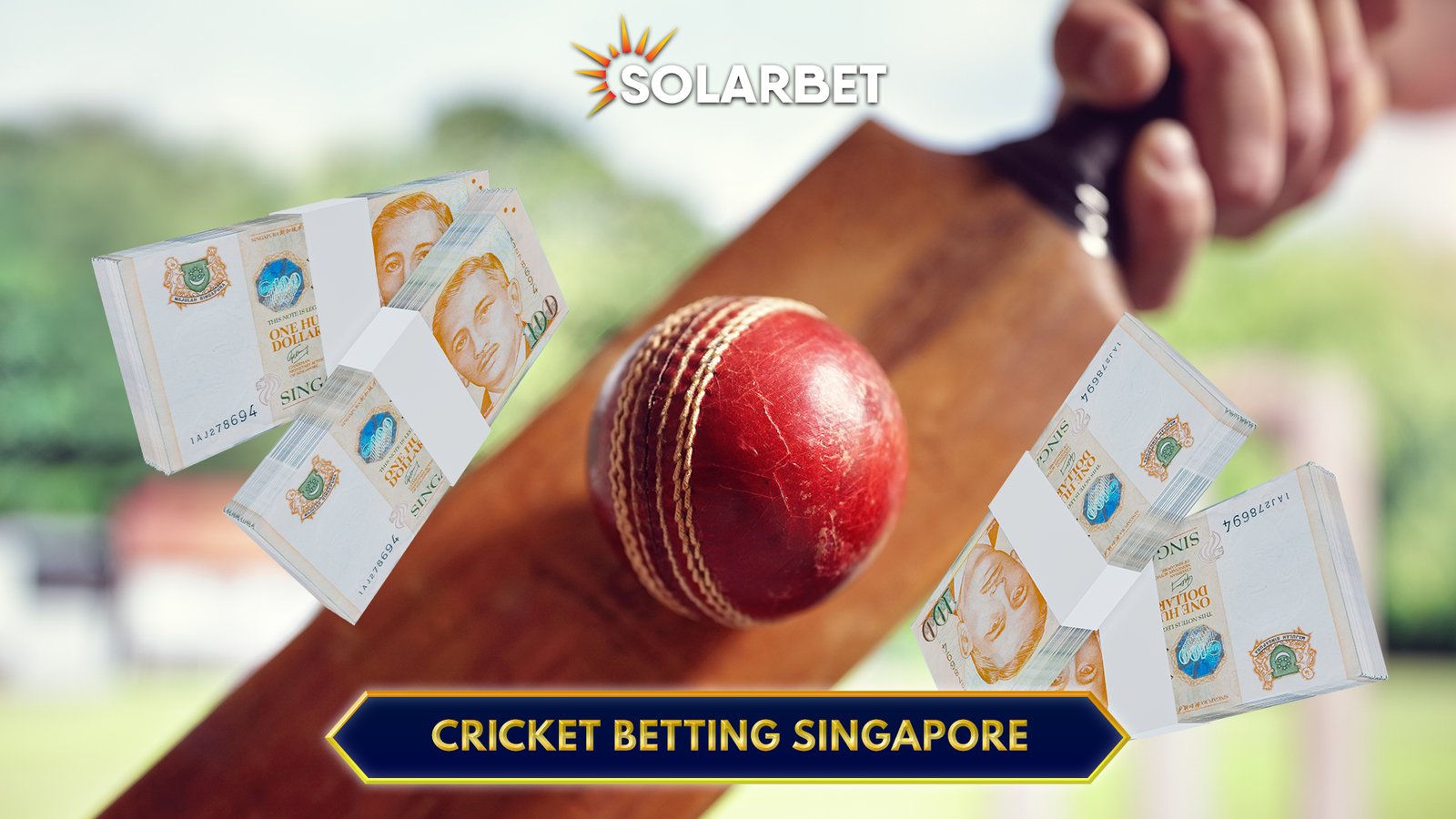 Cricket Betting