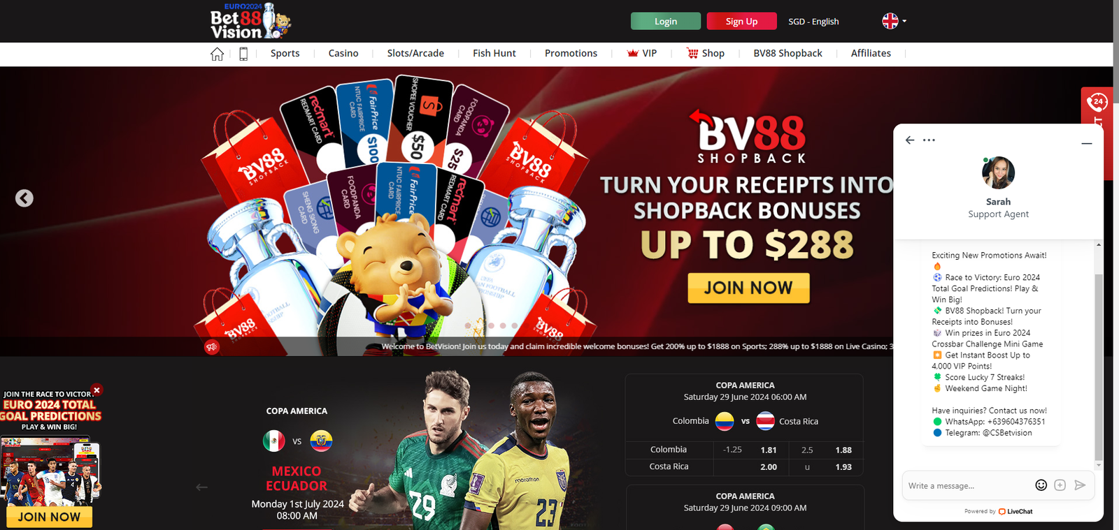 BetVision88 Online Casino