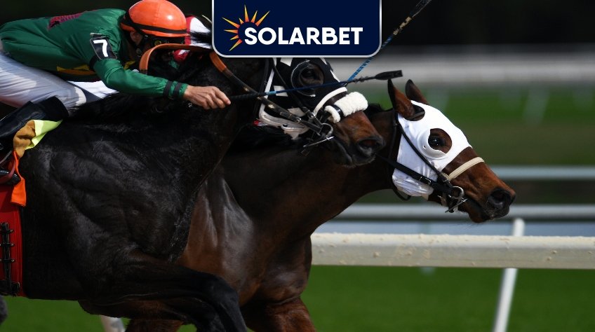 horse betting